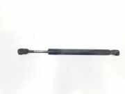 Gasdruckfedern Set Hinten 4F5827552 Audi A6 (C6) Limousine 3.0 TDI V6 24V Quattro (BMK) 2004