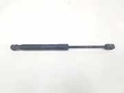Gasdruckfeder Set Vorne 4B5827522G Fiat Ducato (250) Bus 2.3 D 130 Multijet (F1AE0481N(Euro 2)) 2011