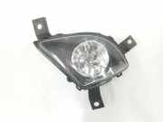 Nebelscheinwerfer Links 7199893 BMW 3 serie Touring (E91) Kombi 325d 24V (M57N2-D30(306D3)) 2010