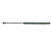 Gasdruckfedern Set Hinten 51247060622 BMW 1 serie (E87/87N) Schrägheck 5-drs 120d 16V (M47-D20(204D4)) 2006