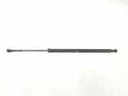 Gasdruckfedern Set Hinten 51248402405 BMW X5 (E53) SUV 3.0d 24V (M57N-D30(306D2)) 2004