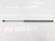 Gasdruckfedern Set Hinten 51247127875 BMW 3 serie Touring (E91) Kombi 330d 24V (M57N2-D30(306D3)) 2007