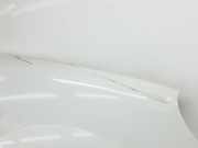 Kotfl?gel Rechts Vorne 7751718632 Renault Kangoo Express (FC) Van 1.5 dCi 65 (K9K-700) 2006