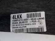 Verkleidung Himmel 85410J5020WK Kia Stinger (CK) Schrägheck 3.3 T-GDI V6 4x4 (G6DP) 2019