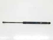 Gasdruckfeder Hinten 51247060622 BMW 1 serie (E87/87N) Schrägheck 5-drs 118d 16V (N47-D20A) 2007
