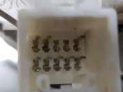 Innenbeleuchtung 6367060320B0 Toyota Land Cruiser (J12) Hardtop Geländewagen 3.0 D-4D 16V (1KDFTV)