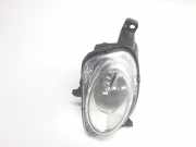 Nebelscheinwerfer Rechts 47500748 Fiat 500L (199) Großraumlimousine 1.3 D 16V Multijet (330.A.1000(Euro 6))