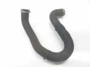 Intercooler Schlauch 9806788380 Peugeot Expert (V1/VA/VB/VE/VF/VT/VY) Van 1.5 BlueHDi 100 (DV5RUCd(YHR))