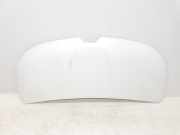 Motorhaube 651224338R Renault L1H1 29t Komfort