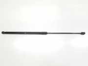 Gasdruckfedern Set Hinten 658827550B Skoda Kamiq SUV 1.0 TSI 12V (DLAA)
