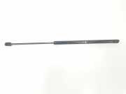 Gasdruckfedern Set Hinten 51247127875 BMW 3 serie Touring (E91) Kombi 318d 16V (N47-D20C) 2008