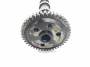 Nockenwelle A6110500101 Mercedes-Benz C (W203) Limousine 2.2 C-220 CDI 16V (OM611.962) 2000