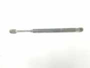 Gasdruckfedern Set Hinten 4F5827552B Audi A6 (C6) Limousine 3.0 TDI V6 24V Quattro (BMK) 2004