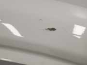 Tür Rechts Vorne 801005445R Renault Trafic Passenger (1JL/2JL/3JL/4JL) Bus 1.6 dCi 125 Twin Turbo (R9M-452) 2018