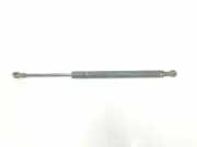 Gasdruckfedern Set Hinten 51244365788 BMW 3 serie (E90) Limousine 320i 16V (N46-B20B) 2005