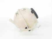 Ausgleichbehälter 1K0121407F Volkswagen Caddy IV Van 2.0 TDI 102 (DFSD) 2019 DFSD