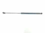 Gasdruckfeder Hinten 13332570 Opel Insignia Schr?gheck 5-drs 2.0 CDTI 16V 140 ecoFLEX (A20DTE) 2015