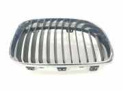 Grill Gitter Rechts 51137166440 BMW 1 serie (E87/87N) Schrägheck 5-drs 120d 16V (N47-D20A) 2008