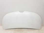 Motorhaube 651224338R Renault L1H1 29t Komfort