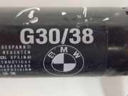 Gasdruckfedern Set Hinten 8737952 BMW M5 (F90) Limousine 4.4 xDrive V8 32V TwinPower Turbo (S63-B44B)
