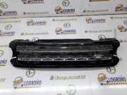 Grill DK628200XX Land + Range Rover Range Rover Sport (LW) Geländewagen 3.0 SDV6 (306DT) 2015
