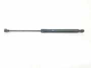 Gasdruckfeder Set Vorne 654707606R Renault Megane IV (RFBB) Schrägheck 5-drs 1.2 Energy TCE 100 (H5F-408) 2016