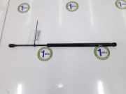 Gasdruckfeder Hinten 689500F011 Toyota Corolla Verso (R10/11) Großraumlimousine 2.0 D-4D 16V (1CD-FTV) 2005
