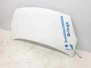 Motorhaube 7901P7 Peugeot FURGÓN L1