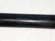 Gasdruckfeder Hinten 8W0823359A Audi A4 (B9) Limousine 2.0 TDI Ultra 16V (DEUA) 2015