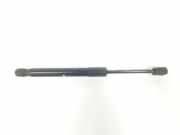 Gasdruckfeder Set Vorne 51237210727 BMW X4 (F26) SAC SUV xDrive20d 16V (B47-D20A) 2015