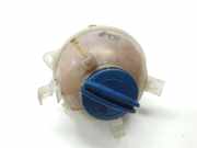 Ausgleichbeh?lter 1K0121407A Volkswagen Caddy IV Van 2.0 TDI 102 (DFSD) 2016 DFSD