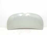 Motorhaube 651224338R Renault L1H1 29t Komfort