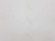 T?r Links Hinten BFA780190 Land + Range Rover Discovery III (LAA/TAA) Gel?ndewagen 2.7 TD V6 (276DT) 2009