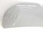 Motorhaube 651224338R Renault L1H1 29t Komfort 2020