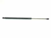 Gasdruckfedern Set Hinten 51736744 Fiat Stilo (192A/B) Schrägheck 2.4 20V Abarth 5-Drs. (192.A.2000) 2003