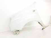 Kotfl?gel Links Vorne 7751718631 Renault Kangoo (KC) Gro?raumlimousine 1.5 dCi 80 (K9K-702) 2006