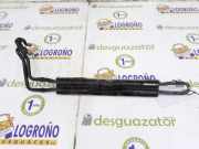 Kühlerblock Ölkühler Servolenkung 17113413195 BMW 2.0 16V D (150 CV) 2006