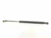 Gasdruckfeder Hinten 51248254281 BMW 3 serie (E46/4) Limousine 318d 16_V (M47N(204D4)) 2003