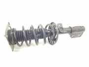 Stoßdämpfer Links Vorne 9821596780 Peugeot FURGÓN Pro Standard