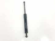 Gasdruckfeder Vorne 51238402551 BMW X5 (E53) SUV 3.0d 24V (M57N-D30(306D2)) 2006