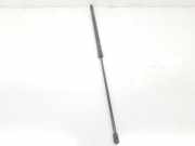 Gasdruckfedern Set Hinten 4134632 Ford Transit Tourneo Bus 2.2 TDCi 16V (QWFA) 2006