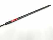 Gasdruckfedern Set Hinten 8200162697 Renault Trafic (1FL/2FL/3FL/4FL) Van 1.6 dCi 120 Twin Turbo (R9M-452) 2016