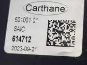 Gaspedalsensor 10255273 MG LUXURY