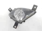 Nebelscheinwerfer Rechts 7199894 BMW 3 serie Touring (E91) Kombi 320d 16V (N47-D20C) 2010