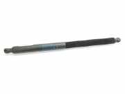 Gasdruckfedern Set Hinten 7397319 BMW SERIE G01 xDrive20d