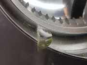 Scheinwerfer Rechts XBC000366 Land + Range Rover Range Rover III (LM) Geländewagen 2.9 TD6 24V (M57-D30) 2004