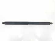Gasdruckfedern Set Hinten 51247294199 BMW X5 (E70) SUV xDrive 35d 3.0 24V (N57-D30A) 2011