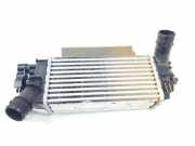 Ladeluftkühler L1BG6D624AB Ford Puma SUV 1.0 Ti-VCT EcoBoost Hybrid 12V (BZJA)