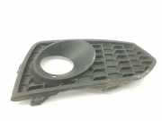 Stoßstangengitter RECHTS VOOR 51118055320 BMW 2 serie (F22) Coupé 218d 2.0 16V (B47-D20A) 2017