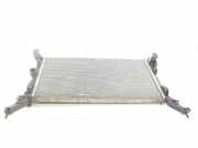 Radiator 214109263R Renault Laguna III (BT) Schrägheck 5-drs 2.0 dCi 16V 130 (M9R-858) 2014